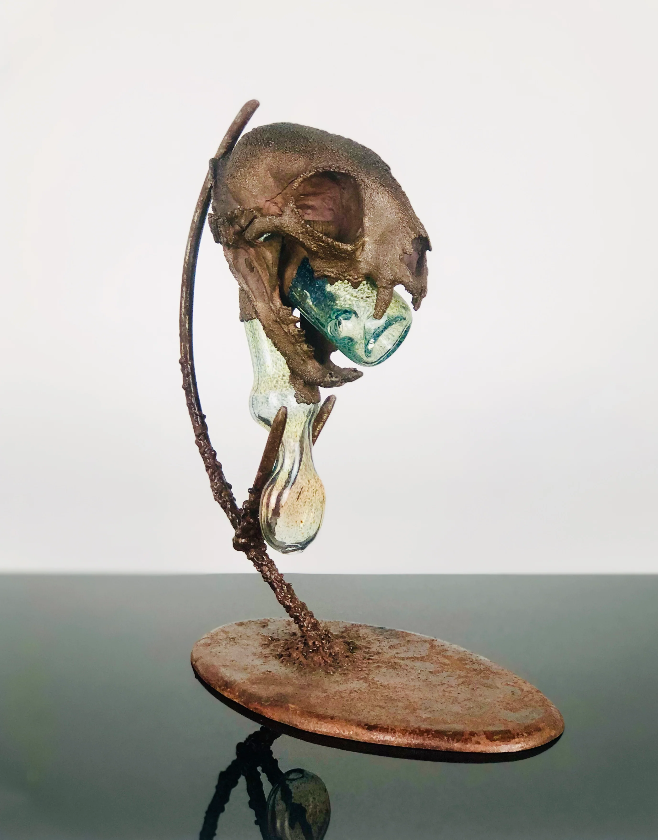 Troy Bennett x Dave Park Genuine Bobcat skull electroformed sherlock - Image 4